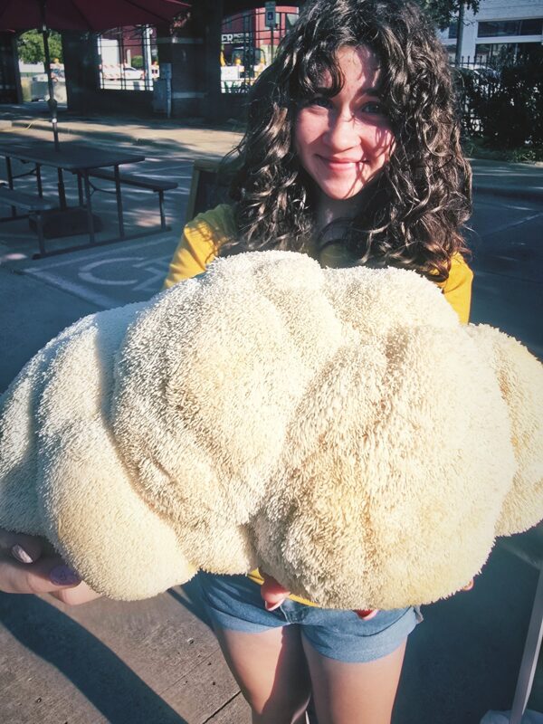 Organic Lion's Mane Mushrooms